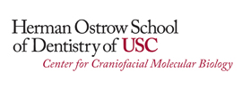 University of Southern California - Center for Craniofacial Molecular Biology