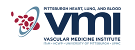 University of Pittsburgh - Vascular Medicine Institute