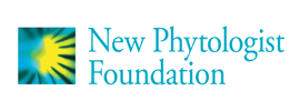 New Phytologist Foundation