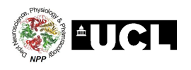 University College London - Department of Neuroscience, Physiology and Pharmacology (NPP)