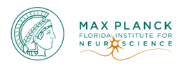 Max Planck Florida Institute for Neuroscience (MPFI)