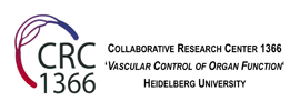 Heidelberg University - DFG Collaborative Research Center 1366 - Vascular Control of Organ Function