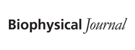 Biophysical Society - Biophysical Journal