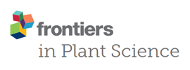 Frontiers - Frontiers in Plant Science