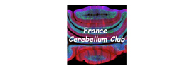 France Cerebellum Club