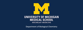 University of Michigan - Department of Biological Chemistry
