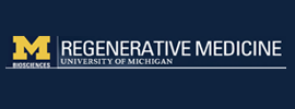 University of Michigan - Regenerative Medicine - Biosciences Initiative in Programmable Biomaterials for Regenerative Medicine