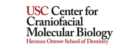 University of Southern California - Center for Craniofacial Molecular Biology  