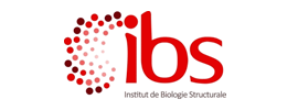 Institut de Biologie Structurale (IBS), CNRS