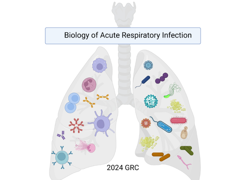 2024 Biology of Acute Respiratory Infection Conference GRC