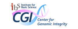 Institute for Basic Science (IBS) - Center for Genomic Integrity (CGI)
