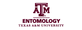Texas A&M University - Department of Entomology