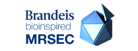 Brandeis Materials Research Science and Engineering Center (MRSEC)