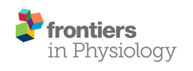 Frontiers in Physiology