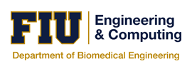 Florida International University - College of Engineering and Computing - Department of Biomedical Engineering (BME)
