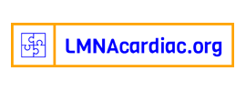 LMNA Cardiac Foundation / LMNAcardiac.org
