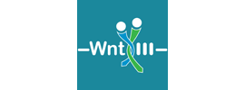 Collaborative Research Center (CRC) 1324 - Mechanisms and Functions of Wnt Signaling