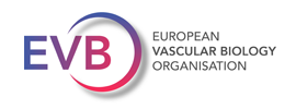 European Vascular Biology Organisation (EVBO)