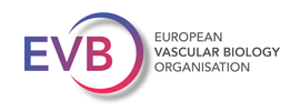 European Vascular biology Organisation (EVBO)