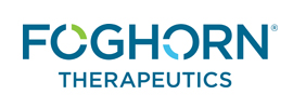 Foghorn Therapeutics