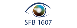 University of Cologne - SFB 1607 / Collaborative Research Centre (CRC) 1607