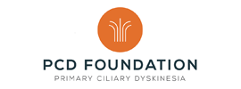PCD Foundation