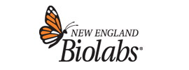 New England Biolabs