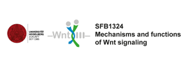 Deutsche Forschungsgemeinschaft (DFG) - Collaborative Research Center SFB 1324 - Mechanisms and Functions of Wnt Signaling