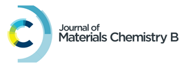 Royal Society of Chemistry - Journal of Materials Chemistry B