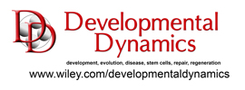 Wiley - Developmental Dynamics
