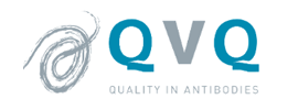 QVQ - quality in antibodies