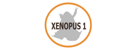 Xenopus 1 Corp.