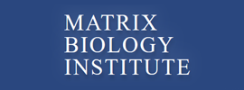 Matrix Biology Institute
