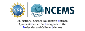 Pennsylvania State University - U.S. National Science Foundation National Synthesis Center for Emergence in the Molecular and Cellular Sciences (NCEMS)