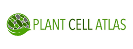 Plant Cell Atlas (PCA)