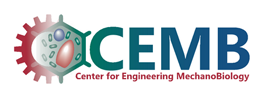 University of Pennsylvania - Center for Engineering MechanoBiology (CEMB)