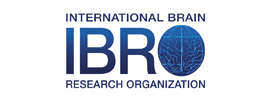 International Brain Research Organization (IBRO)