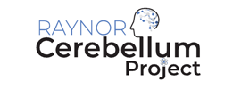 Raynor Cerebellum Project