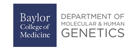 Baylor College of Medicine - Department of Molecular and Human Genetics