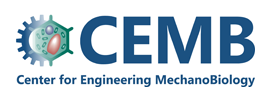 Center for Engineering MechanoBiology (CEMB) 