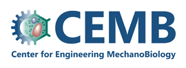 Center for Engineering MechanoBiology (CEMB)