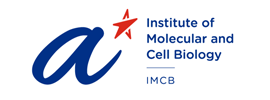 A*STAR - Institute of Molecular and Cell Biology (IMCB)