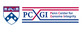 Penn Center for Genome Integrity (PCGI)
