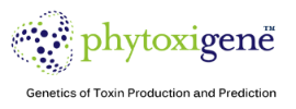 Phytoxigene - Genetics of Toxin Production and Prediction