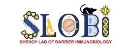 University of Michigan - Shenoy Lab of Barrier Immunobiology (SLOBI)