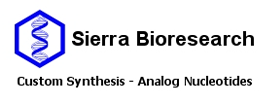 Sierra Bioresearch - Analog Nucleotides