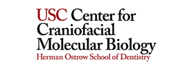 University of Southern California - Center for Craniofacial Molecular Biology