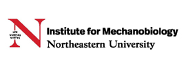 Northeastern University - Institute for Mechanobiology