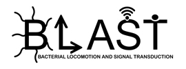 Bacterial Locomotion and Signal Transduction (BLAST)