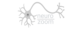 Neuro Zoom